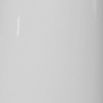 RAL 9018